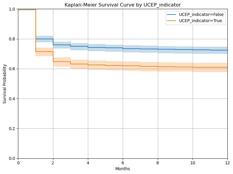 Unadjusted Kaplan–Meier survival curves comparing recorded UCEP users and non-users